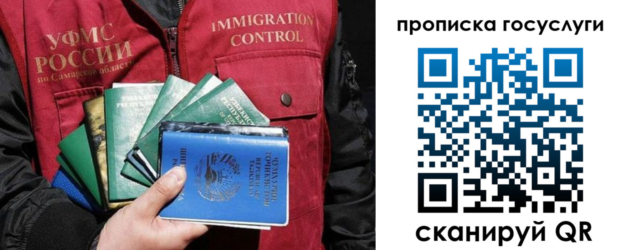 прописка поиск в Новомосковске